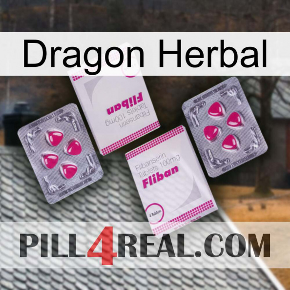 Dragon Herbal 33.jpg